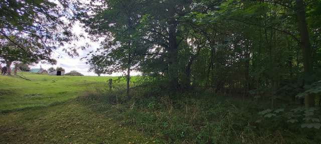 Pozemky - zastavěná plocha a nádvoří a trvalý travní porost, - podíl id. 1/5