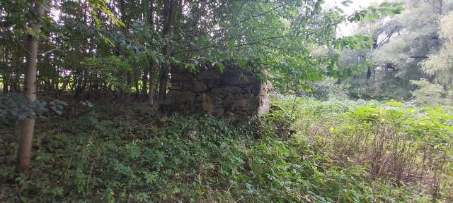 Pozemky - zastavěná plocha a nádvoří a trvalý travní porost, - podíl id. 1/5