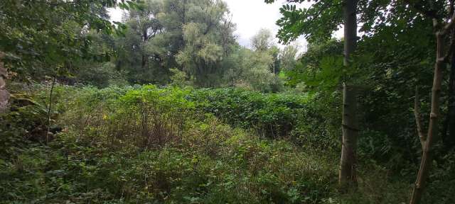 Pozemky - zastavěná plocha a nádvoří a trvalý travní porost, - podíl id. 1/5