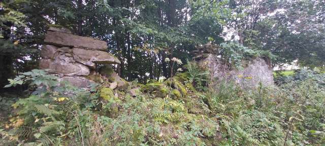 Pozemky - zastavěná plocha a nádvoří a trvalý travní porost, - podíl id. 1/5