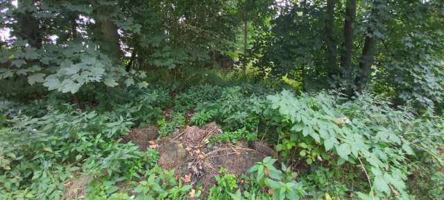 Pozemky - zastavěná plocha a nádvoří a trvalý travní porost, - podíl id. 1/5