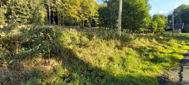 pozemek parcelní č. 683, id. podíl 1/4, k.ú. Rybniště, okres Děčín