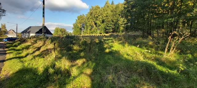 pozemek parc. č. 683, id. podíl 1/4, k.ú. Rybniště, okres Děčín