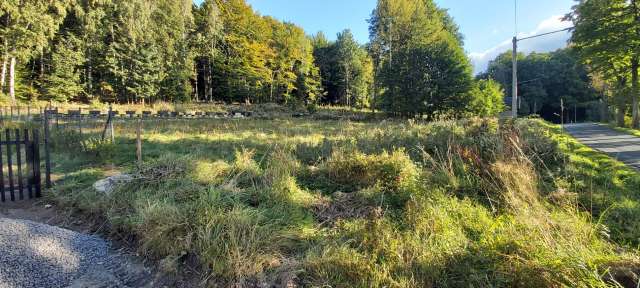 pozemek parc. č. 683, id. podíl 1/4, k.ú. Rybniště, okres Děčín
