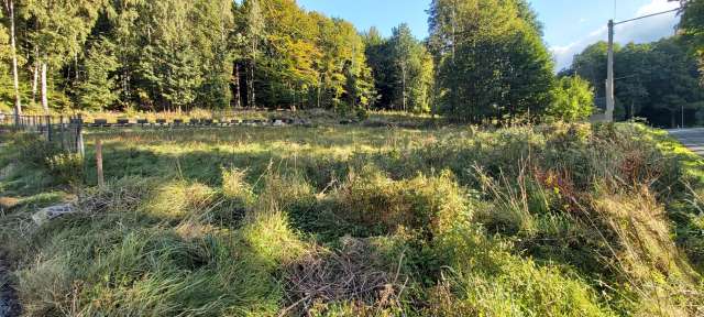 pozemek parcelní č. 683, id. podíl 1/4, k.ú. Rybniště, okres Děčín