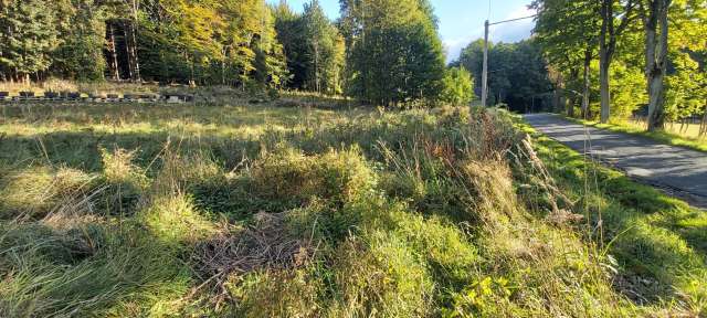 pozemek parc. č. 683, id. podíl 1/4, k.ú. Rybniště, okres Děčín