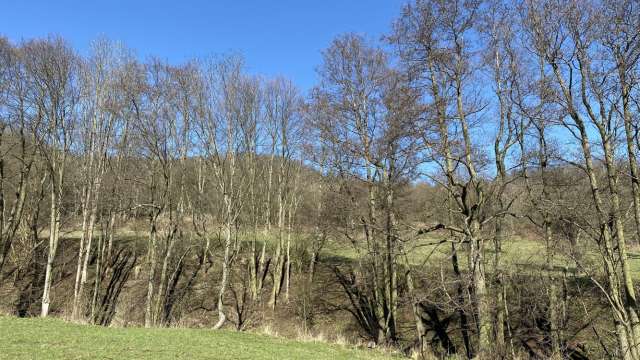 Ideální podíl ½ pozemky, obec Lestkov, okres Chomutov