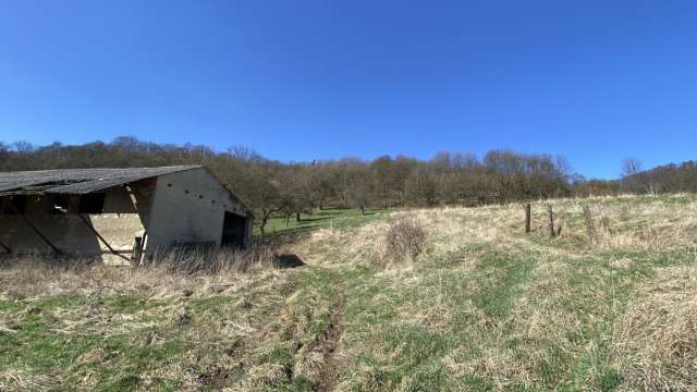 Ideální podíl ½ zemědělských staveb a pozemků, obec Lestkov, okres Chomutov