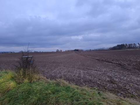 Pozemky Černčice, okres Náchod a plynová zbraň