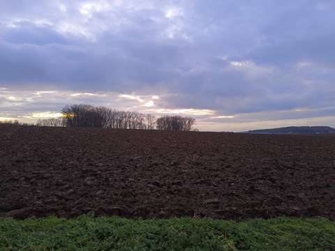 Pozemky Černčice, okres Náchod