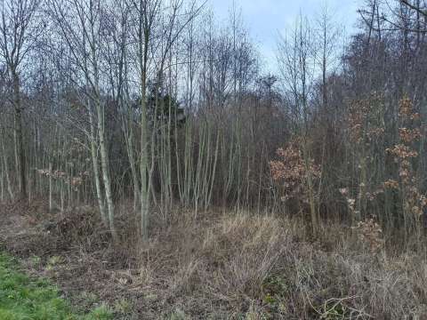 Pozemky Černčice, okres Náchod a plynová zbraň
